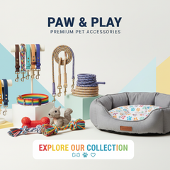 Banner Accessori Cani