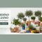 Banner Accessori Piante e Giardino