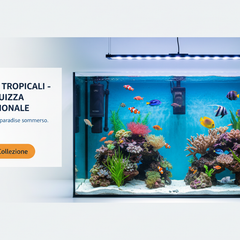 Collection image for: Pompe e Filtri per Acquario Tropicale