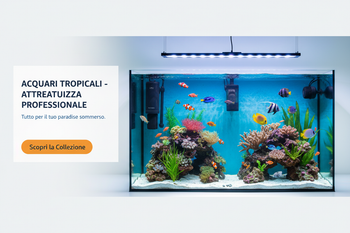 Pompe e Filtri per Acquario