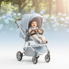 Collection image for: Passeggini & Carrozzine per Neonati