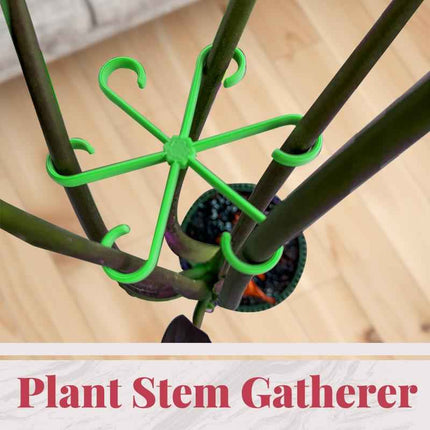 Supporti per Foglie Alocasia e Monstera - Set 4 Pezzi per Piante Rampicanti