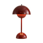 Rosso brunastro / Luce calda