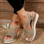 Beige / 36