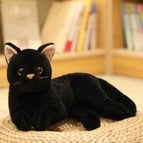 30cm / Black