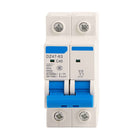 DZ47-63 2P Mini Circuit Breaker with Leakage Guard 400VAC(63A)