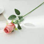 Bulgaria-rose Powder