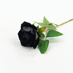Pearl Rose-black