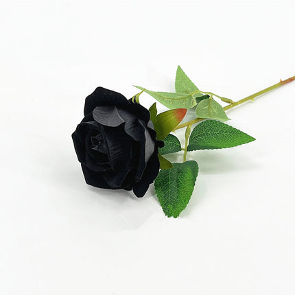 variant image