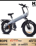 HX Q3 2000W Adult Electric Bike 48V 20AH E Bike 115N.m 20 Inch fat tire Electric Bicycle Removable Battery Foldable Ebike