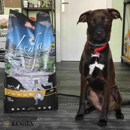 Lenda hypoallergenic turkey – natural grain free food for young and adult dogs