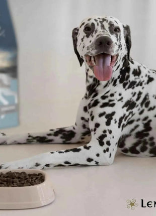 Lenda Sensitive - Hypoallergenic Fish-Based Dog Food for Severe Allergies and Intolerances, with Highly Digestible Hake and Potato for Gentle Digestion, Enhanced Immunity, and Strong Joints, 85% Animal Protein, Grain-Free.