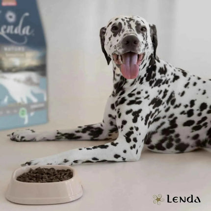 Lenda Sensitive - Hypoallergenic Fish-Based Dog Food for Severe Allergies and Intolerances, with Highly Digestible Hake and Potato for Gentle Digestion, Enhanced Immunity, and Strong Joints, 85% Animal Protein, Grain-Free.