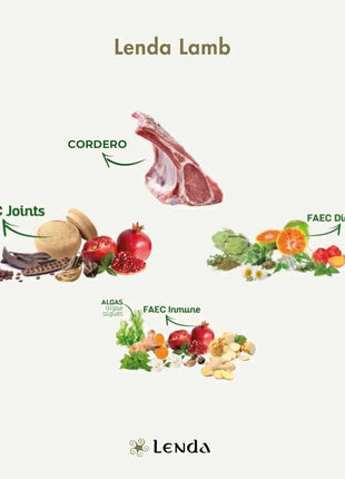 Lenda Lamb - Natural Dog Food Rich in Lamb, 27% Highly Digestible Protein for All Ages, Hypoallergenic and Joint Health Support with Functional Ingredients, Balanced Nutrition for Dogs