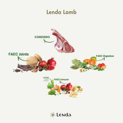 Lenda Lamb - Natural Dog Food Rich in Lamb, 27% Highly Digestible Protein for All Ages, Hypoallergenic and Joint Health Support with Functional Ingredients, Balanced Nutrition for Dogs