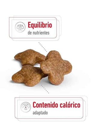 ROYAL CANIN MINI 8 + ADULT THINK FOR DOGS 2Kg