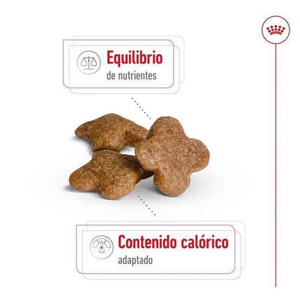 ROYAL CANIN MINI 8 + ADULT THINK FOR DOGS 2Kg