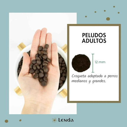 Lenda Lamb - Natural Dog Food Rich in Lamb, 27% Highly Digestible Protein for All Ages, Hypoallergenic and Joint Health Support with Functional Ingredients, Balanced Nutrition for Dogs