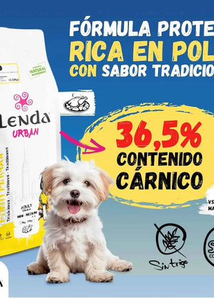 Lenda Urban Farm Chicken - Natural Dog Food for Mini-Medium Breeds, high protein content 36.5%, suitable for adult dogs, supports bone health with meat-based ingredients like chicken, pork, and beef.
