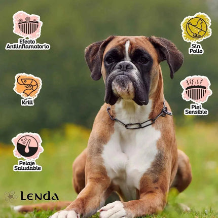 Lenda hypoallergenic turkey – natural grain free food for young and adult dogs