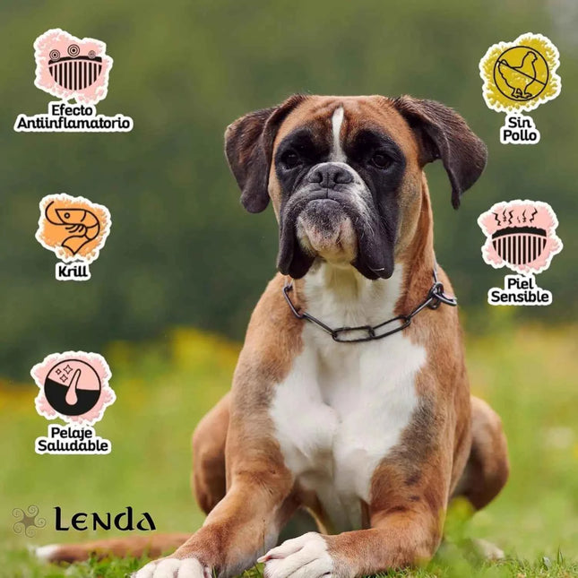 Lenda hypoallergenic turkey – natural grain free food for young and adult dogs