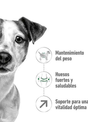 ROYAL CANIN MINI 8 + ADULT THINK FOR DOGS 2Kg