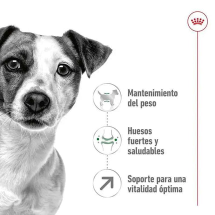 ROYAL CANIN MINI 8 + ADULT THINK FOR DOGS 2Kg