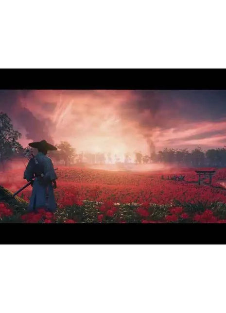 Ghost of Tsushima Director's Cut PS4/PS5 - Action-Adventure Game, Open World, Stunning 4K Graphics, Unique Combat Features, Includes Iki Island Expansion and Online Co-op, PS5 DualSense Haptic Feedback, All DLC Content, Ideal