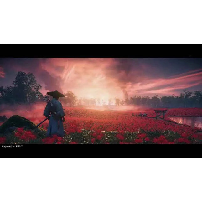 Ghost of Tsushima Director's Cut PS4/PS5 - Action-Adventure Game, Open World, Stunning 4K Graphics, Unique Combat Features, Includes Iki Island Expansion and Online Co-op, PS5 DualSense Haptic Feedback, All DLC Content, Ideal