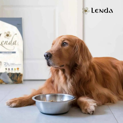 Lenda Light - Low Calorie Grain-Free Dog Food for Overweight and Sterilized Dogs, with Turkey, Natural Ingredients, Joint Support, and Digestive Health, 21% Protein, 8% Fat, Healthy Nutrition for Adult Dogs