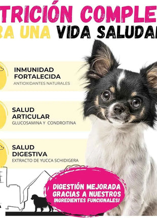 Lenda Urban Farm Chicken - Natural Dog Food for Mini-Medium Breeds, high protein content 36.5%, suitable for adult dogs, supports bone health with meat-based ingredients like chicken, pork, and beef.