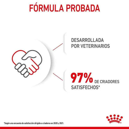 Royal Canin Mini Puppy 8KG dog food for small breed puppies up to 10 kg, with balanced nutrition, high energy for growth, and enriched with vitamins C and E for immune support and digestive health.