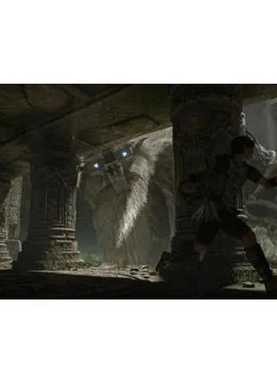 Shadow Of The Colossus PS4 UK - PlayStation 4 game with improved graphics and performance, featuring epic adventure against giant creatures, exploration, and puzzle-solving. Ideal for PS4 gamers seeking memorable gameplay exp
