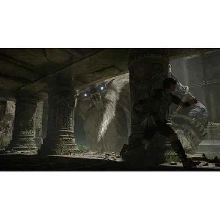 Shadow Of The Colossus PS4 UK - PlayStation 4 game with improved graphics and performance, featuring epic adventure against giant creatures, exploration, and puzzle-solving. Ideal for PS4 gamers seeking memorable gameplay exp
