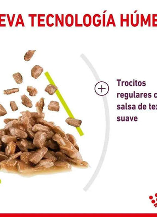 Royal Canin Sensory Smell in Sauce 12X85g
