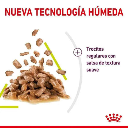 Royal Canin Sensory Smell in Sauce 12X85g