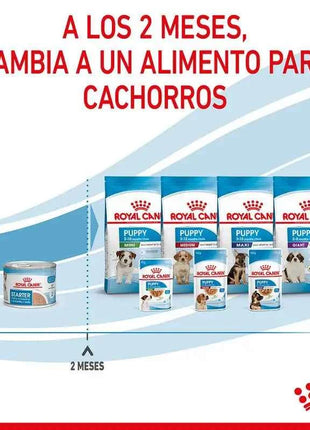 5X195Gr Royal Canin Starter Mousse Mother & Babydog