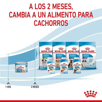 5X195Gr Royal Canin Starter Mousse Mother & Babydog
