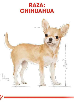 Royal Canin Chihuahua Adult Dog Food 1.5Kg - Complete nutrition for Chihuahuas over 8 months, features reduced feces odor, dental care, and high digestibility for optimal health and appetite stimulation.