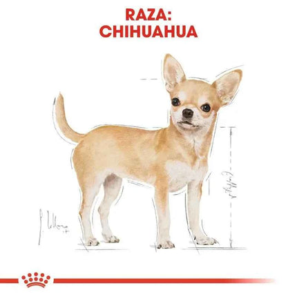 Royal Canin Chihuahua Adult Dog Food 1.5Kg - Complete nutrition for Chihuahuas over 8 months, features reduced feces odor, dental care, and high digestibility for optimal health and appetite stimulation.