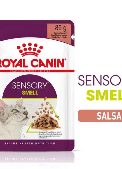 Royal Canin Sensory Smell in Sauce 12X85g