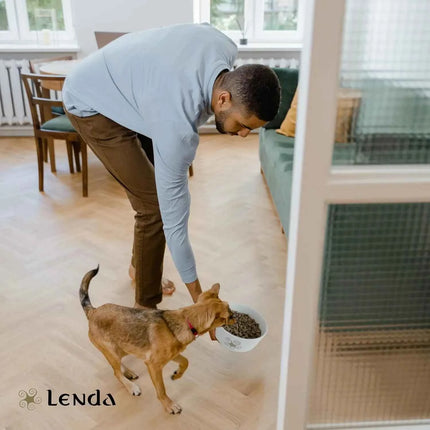 Lenda Light - Low Calorie Grain-Free Dog Food for Overweight and Sterilized Dogs, with Turkey, Natural Ingredients, Joint Support, and Digestive Health, 21% Protein, 8% Fat, Healthy Nutrition for Adult Dogs