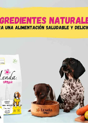 Lenda Urban Farm Chicken - Natural Dog Food for Mini-Medium Breeds, high protein content 36.5%, suitable for adult dogs, supports bone health with meat-based ingredients like chicken, pork, and beef.