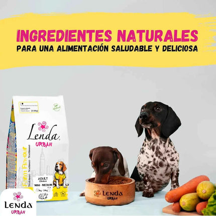Lenda Urban Farm Chicken - Natural Dog Food for Mini-Medium Breeds, high protein content 36.5%, suitable for adult dogs, supports bone health with meat-based ingredients like chicken, pork, and beef.
