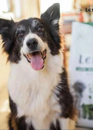 Lenda Lamb - Natural Dog Food Rich in Lamb, 27% Highly Digestible Protein for All Ages, Hypoallergenic and Joint Health Support with Functional Ingredients, Balanced Nutrition for Dogs