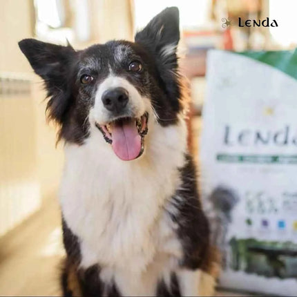 Lenda Lamb - Natural Dog Food Rich in Lamb, 27% Highly Digestible Protein for All Ages, Hypoallergenic and Joint Health Support with Functional Ingredients, Balanced Nutrition for Dogs