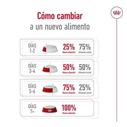 ROYAL CANIN MINI 8 + ADULT THINK FOR DOGS 2Kg