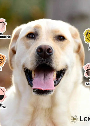 Lenda Nature Tuna – Grain-Free Hypoallergenic Dog Food, ideal for all ages, 0% grains, rich in high-quality tuna, Omega 3 & 6 for healthy skin and coat, supports digestion and immunity.