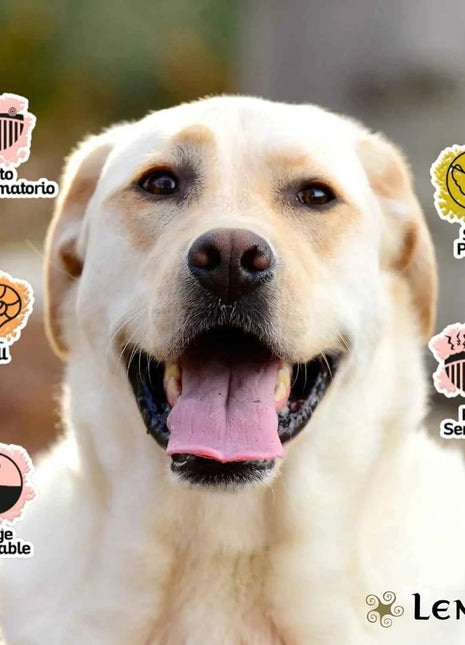 Lenda Nature Tuna – Grain-Free Hypoallergenic Dog Food, ideal for all ages, 0% grains, rich in high-quality tuna, Omega 3 & 6 for healthy skin and coat, supports digestion and immunity.