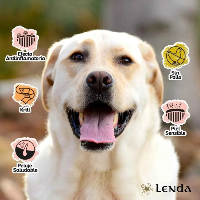 Lenda Nature Tuna – Grain-Free Hypoallergenic Dog Food, ideal for all ages, 0% grains, rich in high-quality tuna, Omega 3 & 6 for healthy skin and coat, supports digestion and immunity.
